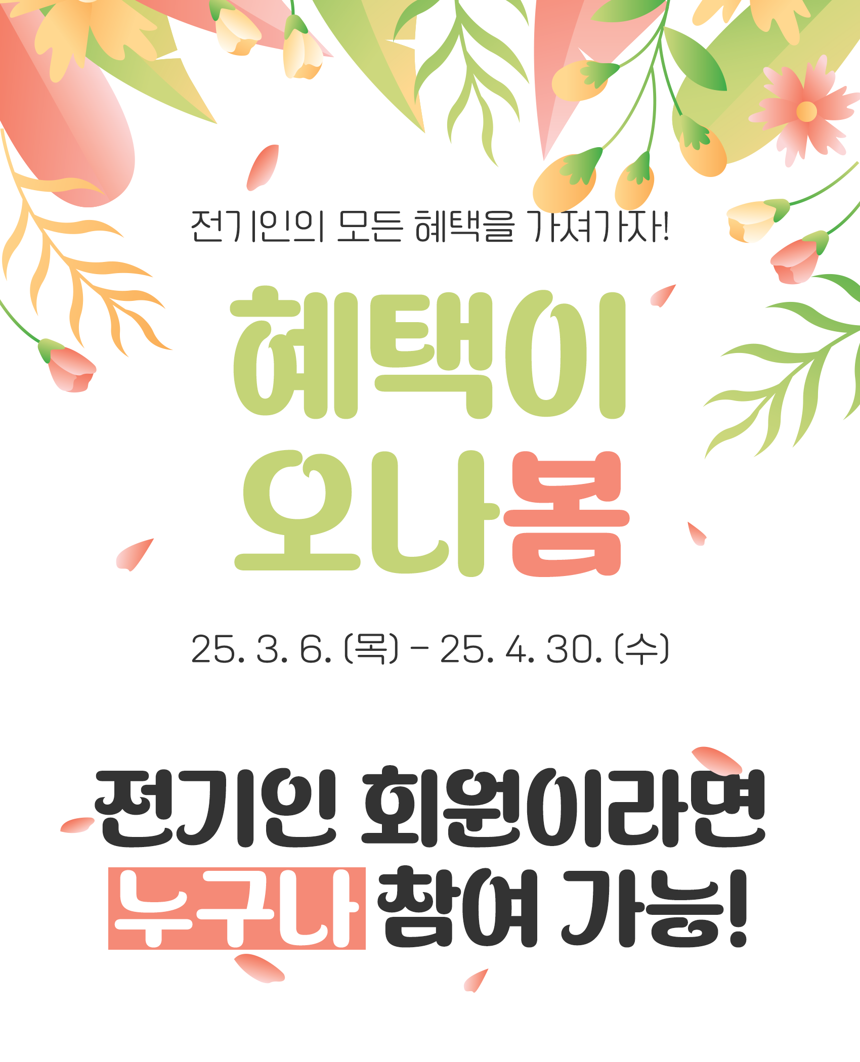 얼리버드 이벤트
